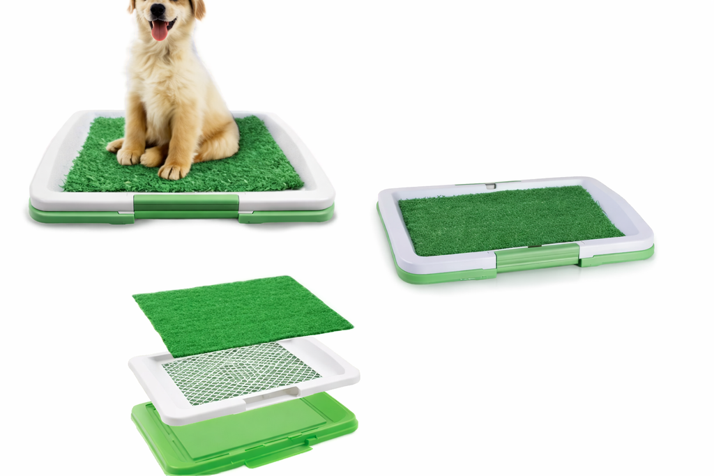 EcoPuppy Grass – Baño Ecológico Entrenador para Mascotas